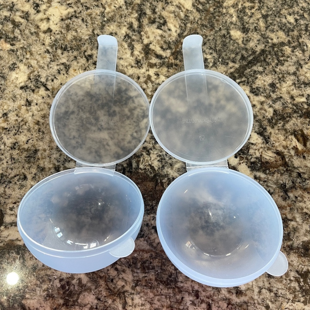 Tupperware Forget Me Not Containers Set of 2 BLUE Large Apple Onion Tomato